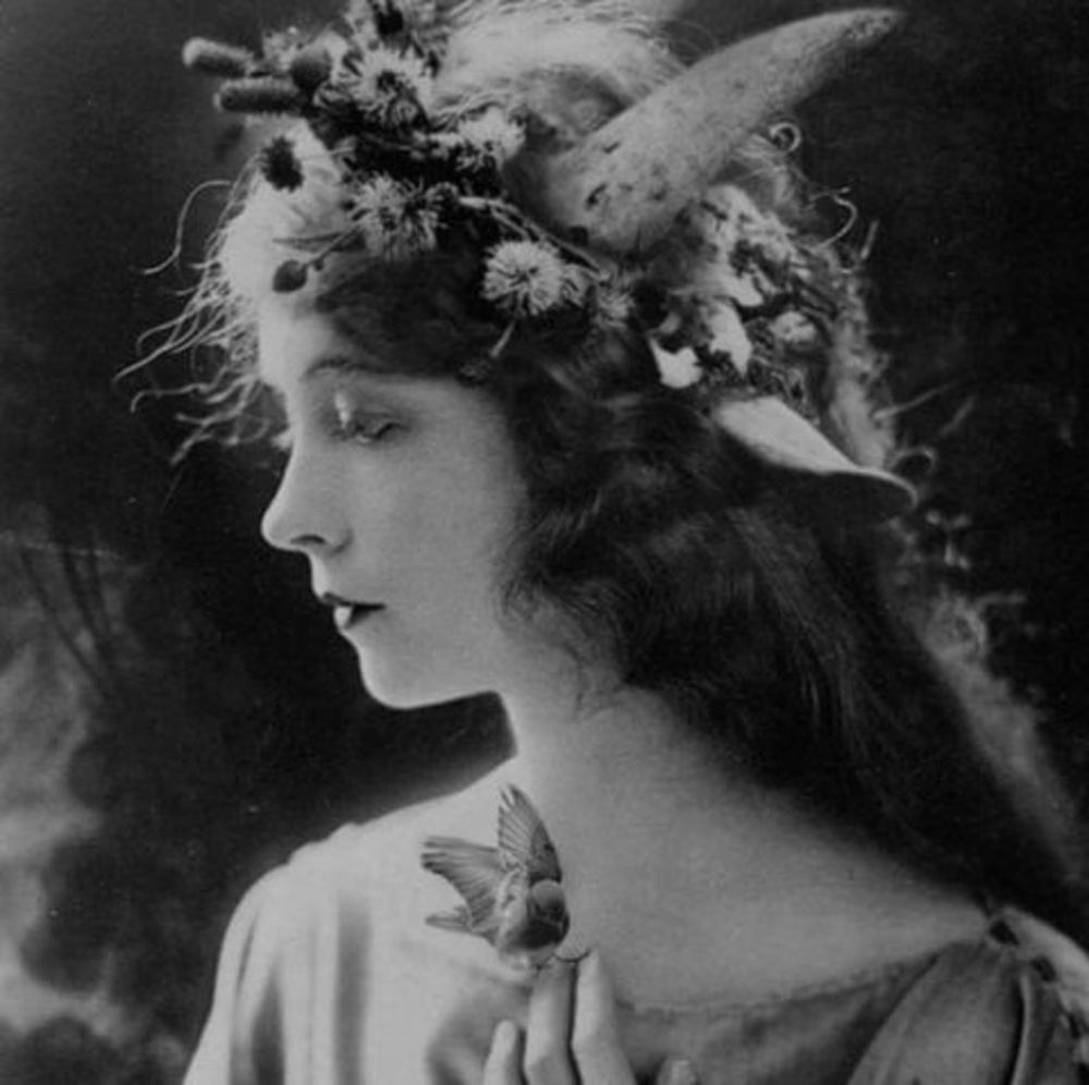 Meet your Posher, Robin